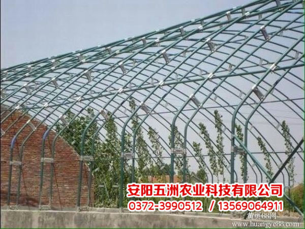 钢管大棚