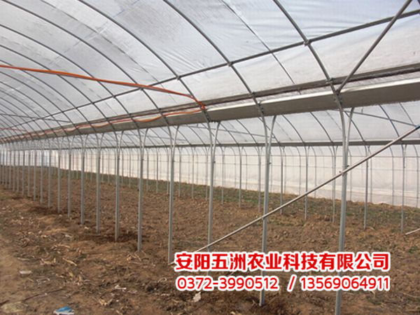 钢管大棚