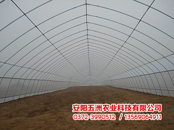钢管大棚