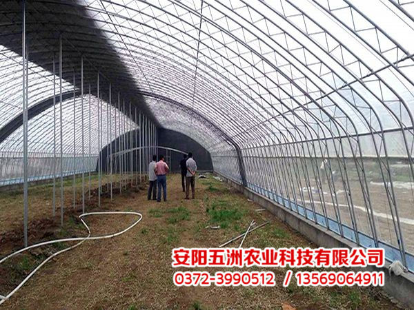 钢管大棚