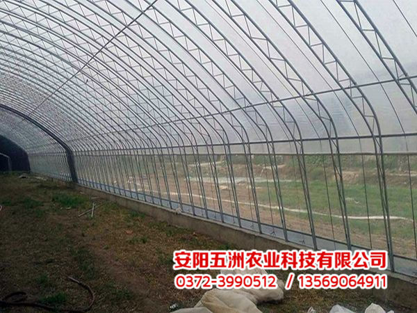 钢管大棚