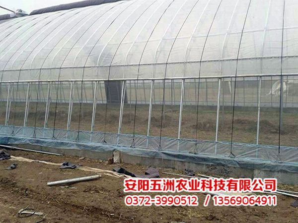 钢管大棚