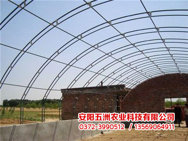 钢管大棚
