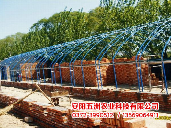 钢管镀塑大棚