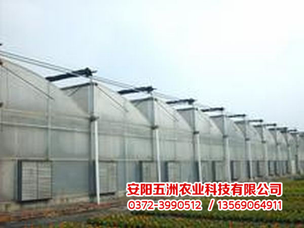 连栋大棚