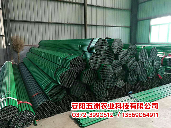 钢管镀塑大棚
