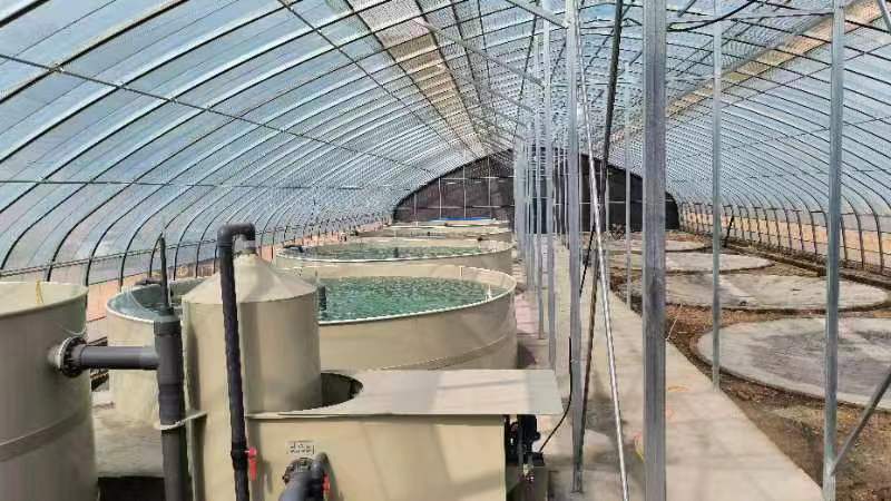 香港免费公开资料大全