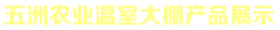 香港免费公开资料大全产品展示